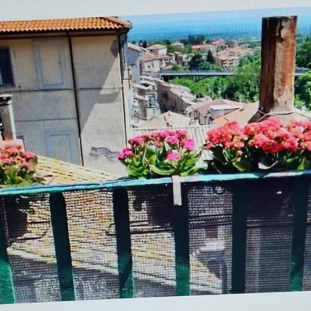 카프라롤라 La Casa Del Sole 아파트 외부 사진